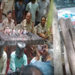Tirupati : అంబులెన్స్‌లో ఎర్రచందనం.. పుష్ఫ స్టైల్ స్మగ్లింగ్..