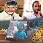 Tirumala tiger attack news : చిరుతదాడిపై చంద్రబాబు రియాక్షన్.. కోవూరు ఎమ్మెల్యే కాంట్రవర్సీ స్టేట్‌మెంట్..