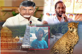 Roja: పవన్ ఇల్లు కొండమీద లేదా? కోర్టు కంటే గొప్పోడా?.. రోజా స్ట్రాంగ్ కౌంటర్..