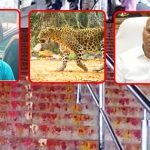 TTD on Tirumala tiger attack : భక్తులే జాగ్రత్తగా ఉండాలట.. టీటీడీ ఉచిత సలహా.. షేమ్ షేమ్!