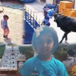 Latest Viral News : కుక్క, ఆవు, చిరుత.. పిల్లలతో జర జాగ్రత్త..