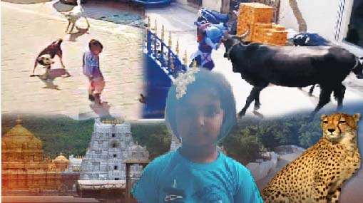 Adilabad : హనుమాన్ వెండి కళ్లు కలకలం.. ఎమ్మెల్యేపై ఆగ్రహం..