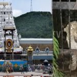 Tirumala Chirutha news : ఆపరేషన్ చిరుత.. అలిపిరి నడకదారిలో మరొకటి చిక్కింది..