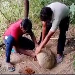 YouTube: యూట్యూబ్ వ్యూస్ కోసం అడవిలో వేట.. కట్ చేస్తే, కటకటాల్లో..