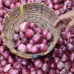 Onion Price : కన్నీరు పెట్టిస్తోన్న ఉల్లి.. ఆకాశాన్నంటుతాయా ?
