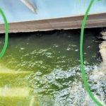 Medigadda Barrage : మేడిగడ్డ కుంగుబాటు వెనుక కుట్ర జరిగిందా ? కేంద్రబృందం ఏం చెప్తోంది ?