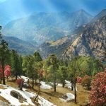 Almora – Uttarakhand : ప్రకృతి ప్రేమికులకు కనులవిందు.. ‘ఆల్మోరా’ అందాలు