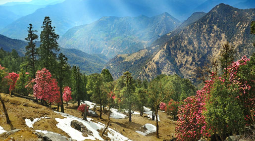 Almora - Uttarakhand : ప్రకృతి ప్రేమికులకు కనులవిందు.. ‘ఆల్మోరా’ అందాలు