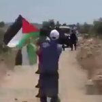 Israel – Gaza Conflict :పాలస్తీనా జెండాతో ఇజ్రాయెల్ సైన్యం ముందుకు బాలుడు.. ఆ తర్వాత ?