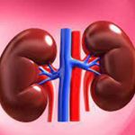 Precautions for Kidney Cleanse : ఇలా చేస్తే మీ కిడ్నీలు సేఫ్‌