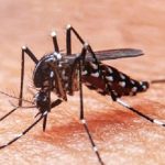 Bangladesh Dengue Fever : బాబోయ్ డెంగ్యూ.. బంగ్లాదేశ్‌లో 3 లక్షల కేసులు