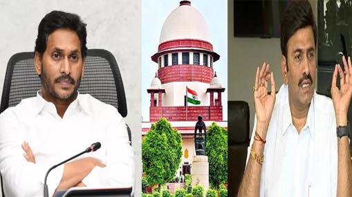 Mohammed Shami : జనం నవ్వుతారు సామీ వద్దు.. పాక్ మాజీకి షమీ ఝలక్