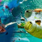 Plastic Pollution : కడలి కడుపులో ప్లాస్టిక్.. మన వాటా ఎక్కువే
