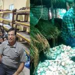 Mushrooms : రూ.36 పెట్టుబడితో మిలియనీర్‌ స్థాయికి..