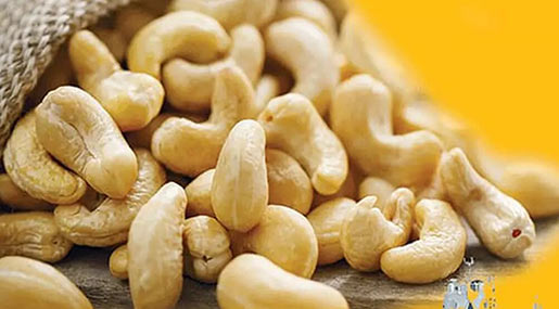 Cashew Exports :  మరిన్ని దేశాలకు మన జీడిపప్పు