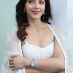 Mehreen Pirzada New Pics at Spark Movie Interview
