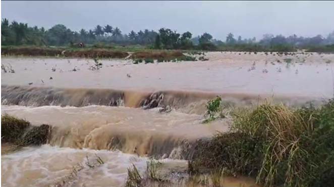 Madhya Pradesh: బోరుబావిలో పడిన చిన్నారి.. 9 గంటల రెస్క్యూ ఆపరేషన్ తర్వాత?