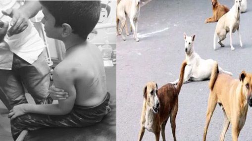 CARROT: చలికాలంలో క్యారెట్ జ్యూస్ తాగొచ్చా.. అతిగా తీసుకుంటే ఈ సమస్యలు తప్పవు..!