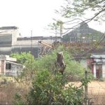 Muthyampet Sugar Factory : షుగర్ ఫ్యాక్టరీ తెరుస్తామని సీఎం హామీ.. రైతుల్లో చిగురించిన ఆశలు..