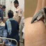 Gudivada : పాముకాటుకు వ్యక్తి మృతి.. గుడివాడలో ఘటన..