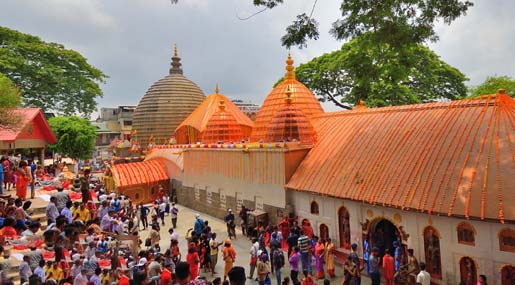 Ayodhya Ram Mandir: అయోధ్యలో శ్రీరాముడి విగ్రహ ప్రతిష్ఠాపన.. కోట్లాది హిందువుల కల త్వరలోనే నిజం