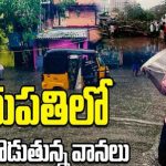 Tirupati Rains: తిరుపతిని ముంచెత్తిన మిగ్ జాం.. కూలిన వందేళ్ల వృక్షం