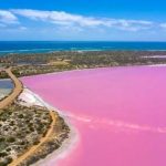 Pink Lake : ప్రకృతి చేసే మాయ.. పింక్ లేక్స్‌