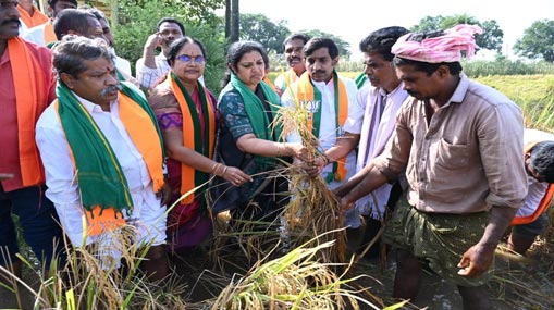 Purandeswari: రైతులకు రూ.50 వేలు ఇవ్వాలి.. పురందేశ్వరి డిమాండ్