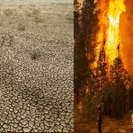 Hottest Year : అమ్మో.. 1.4 డిగ్రీల వేడి పెరిగిందా!