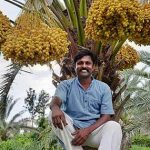 professor : ఖర్జూరం.. ఎకరానికి రూ.6 లక్షల లాభం