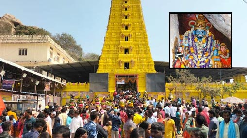 Lizard In Biryani : బాబోయ్ బిర్యానీలో బల్లి.. 8 మందికి అస్వస్థత