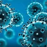 Corona virus : దేశంలో 63  కొత్త ఉపరకం జేఎన్.1 కేసులు నమోదు.. రాష్ట్రాలను అలెర్ట్ చేసిన కేంద్రం..