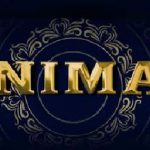 Animal Movie : తగ్గేదే లేదంటున్న యానిమల్ మూవీ కలెక్షన్స్ ..