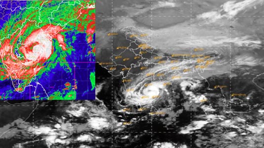 Tirupati Rains: తిరుపతిని ముంచెత్తిన మిగ్ జాం.. కూలిన వందేళ్ల వృక్షం