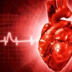 Healthy Heart : శరీర కదలికలతో గుండె పదిలం