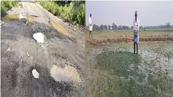 Odisha: ఒడిశాలో మద్యం వ్యాపారుల ఇళ్లలో ఐటీ దాడులు.. బీరువాల్లో నోట్లకట్టలు