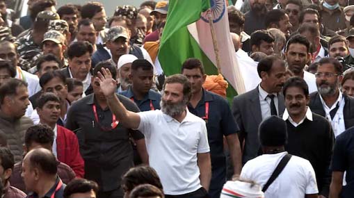 Rahul Gandhi : బీజేపీ ఎంపీలకు భయం పట్టుకుంది.. నాగ్ పూర్ సభలో రాహుల్ ఫైర్