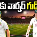 David Warner: విజయంతో వీడ్కోలు పలికిన డేవిడ్ వార్నర్.. 12 ఏళ్ల టెస్టు కెరీర్ లో ఎన్నో అద్భుతాలు