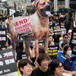 Dog Meat : కొరియాలో కుక్క మాంసం నిషిద్ధం..