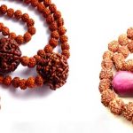 Rudraksha : పరమేశ్వర స్వరూపం .. రుద్రాక్ష