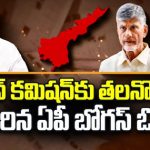 AP Fake Votes: ఏపీ బోగస్ ఓట్లపై తేలని పంచాయితీ.. ఈసీకి తలనొప్పిగా మారిన వ్యవహారం..