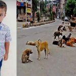 Nizamabad: విషాదం.. వీధికుక్కల దాడిలో బాలుడు మృతి