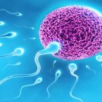 Sperm Count : రోజూ ఇలా చేస్తే.. మీ స్పెర్మ్ కౌంట్ పెరుగుతుంది..!
