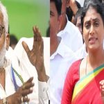 YV Subba Reddy : షర్మిల కాంగ్రెస్ లో చేరినా నష్టం లేదు.. వైసీపీ ఎదురుదాడి..