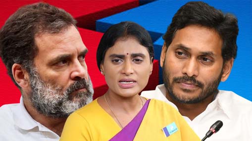 BCCI : 2024లో మూడు వన్డేలే.. ఈ ఏడాది టీమిండియా షెడ్యూల్ ఇదే..