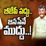 TDP Janasena Alliance : బీజేపీ వద్దు.. జనసేనే ముద్దు.. పొత్తులపై చంద్రబాబు!
