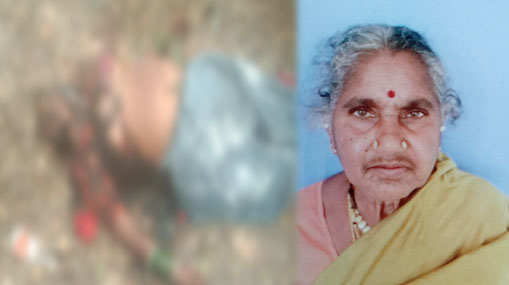 YS Sharmila : ఏపీసీసీ చీఫ్ గా బాధ్యతలు చేపట్టనున్న షర్మిల.. ముహూర్తం ఫిక్స్..