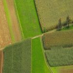 Increase In Agricultural land : ఆ దేశాల్లో పంటభూముల పెరుగుదల.. కారణమిదేనా..?