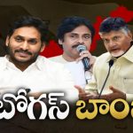AP Fake Votes: బోగస్ ఓట్ల చుట్టూ ఏపీ రాజకీయం.. ఎవరు చెప్పేది నిజం?