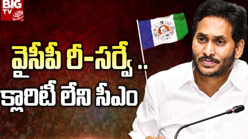 YS Sharmila : షర్మిలకి కాంగ్రెస్ పగ్గాలు.. జగన్ కి చుక్కలే